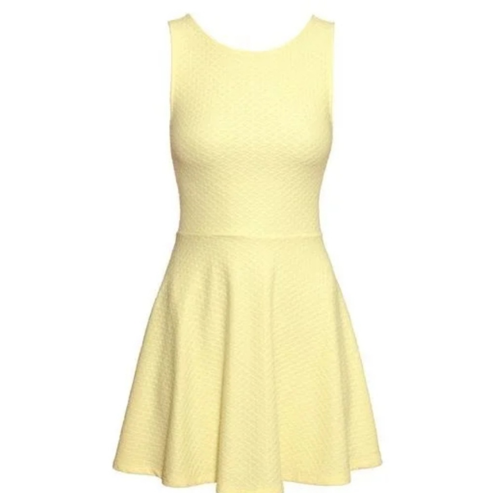 H&m skater dress